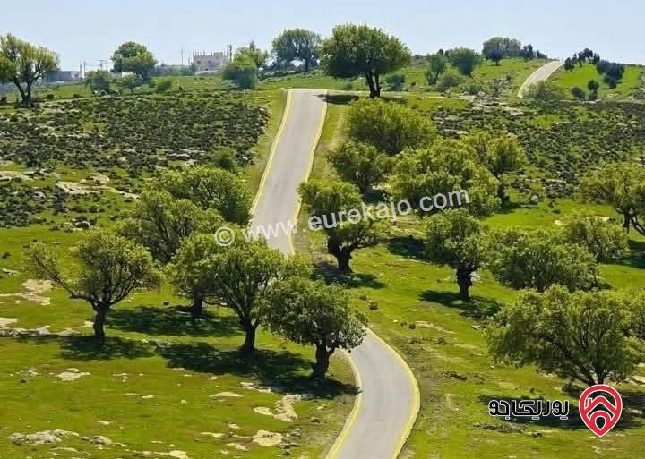 قطعة أرض مساحة 2 دونم للبيع في الزرقاء - العالوك بإطلالة ساحرة على جبال إربد وجرش