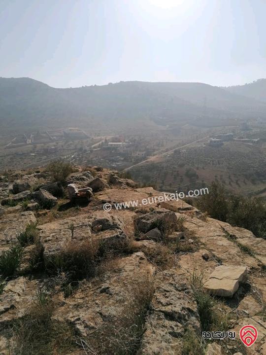 ارض مساحة 1 دونم و 263م اطلالة بانوراما للبيع في الزرقاء - بيرين