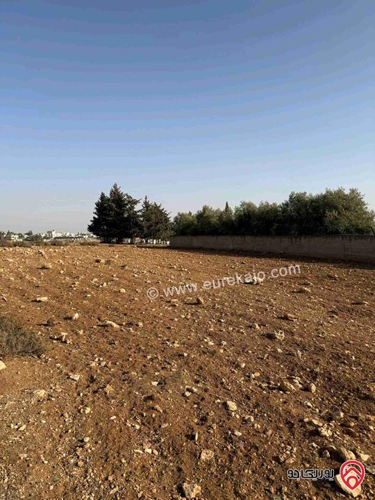 ارض مساحة 689م للبيع من اراضي جنوب غرب عمان - ناعور