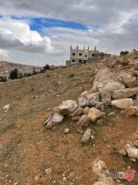 أرض مساحة 749م للبيع في الزرقاء - جريبا مذبح البعير