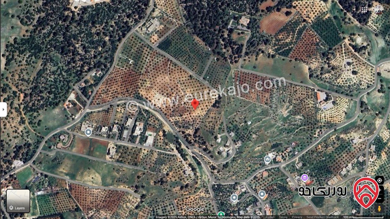 أرض زراعية مساحة 14 دونم و 230م للبيع في جرش – الجزازة – أبو عمارة