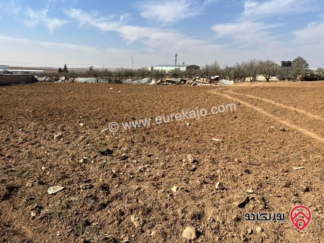 قطعة أرض مفروزة مساحة 3 دونم و 800م للبيع في مادبا - حواره