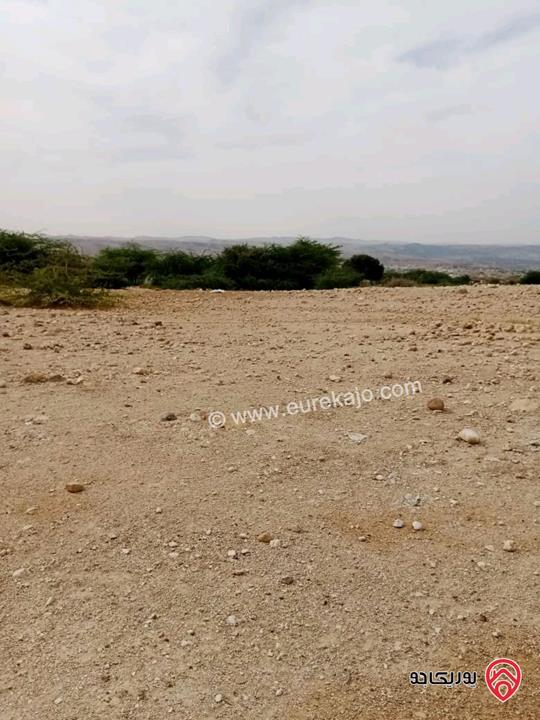 قطع أراضي بمساحات تبدأ من 2 دونم للبيع في البحر الميت قرب منتجع البحيرة