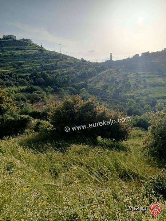 قطعة ارض سكنية مساحة 1 دونم و 145م للبيع في السلط