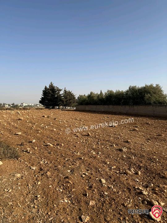 ارض مساحة 689م للبيع من اراضي جنوب غرب عمان - ناعور