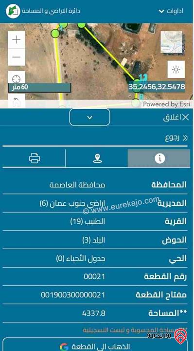 ارض استثمارية مساحة 4295م للبيع في عمان - الطنيب حوض البلد داخل التنظيم 