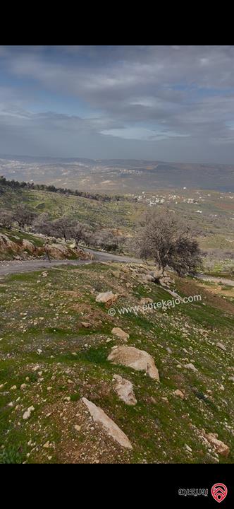 ارض مساحة 3 دونم و 750م للبيع في الزرقاء - العالوك