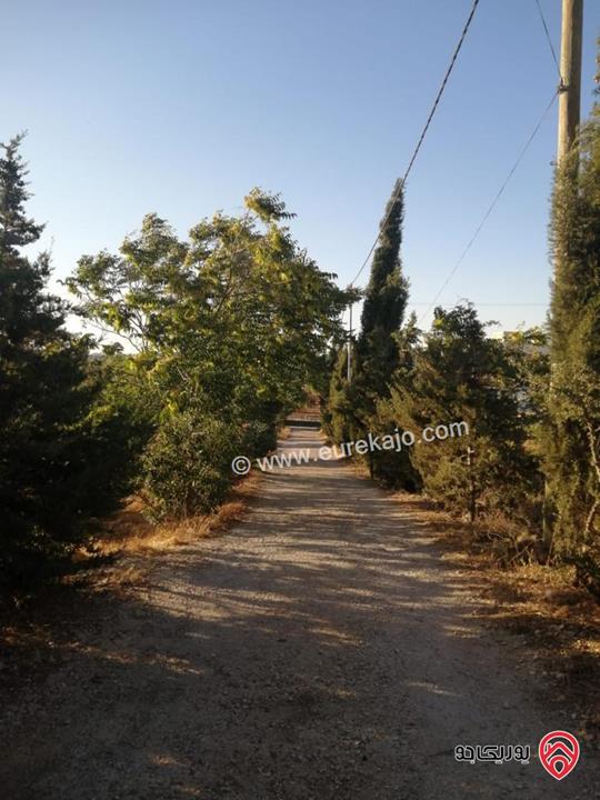 مزرعة مساحة الأرض 4 دونم و 398م والبناء 230م للبيع في جرش - قفقفا