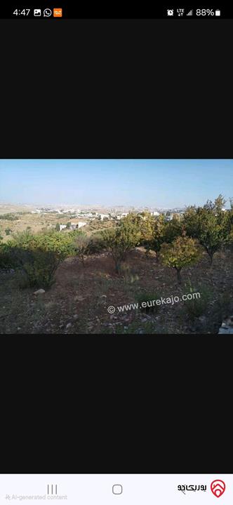 قطعة أرض بانورامية مساحة 1 دونم للبيع في السلط - اليزيدية