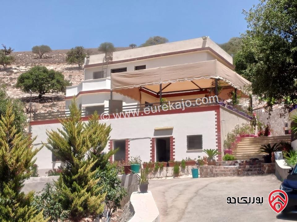 مزرعة مساحة 3 دونم + فيلا ريفية 220م للبيع في الزرقاء - صروت