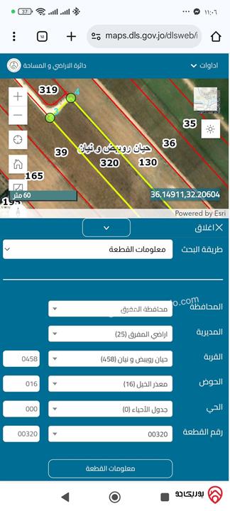 قطعة ارض مساحة 3 دونم و 600م للبيع في المفرق