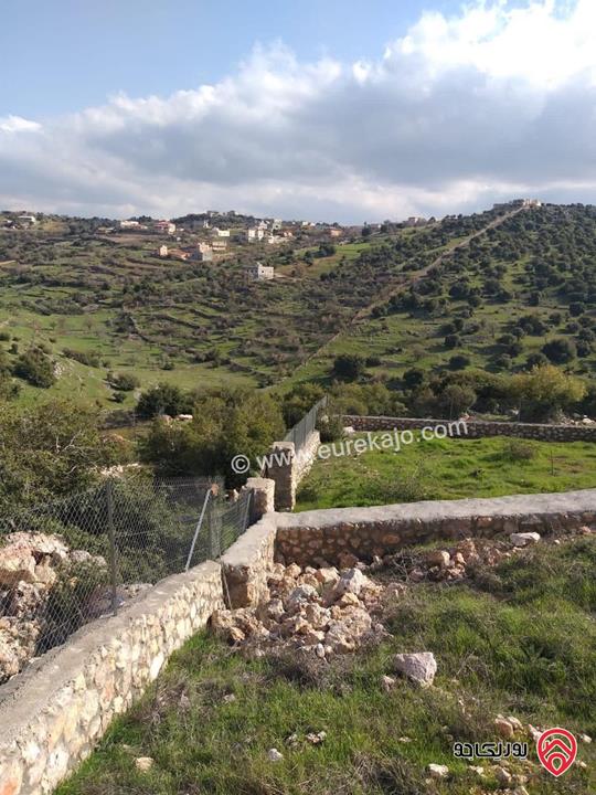 ارض سكنية مساحة 1 دونم و 260م للبيع أو للمبادلة في عجلون راس منيف موقع رائع