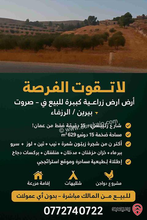 ارض كبيرة مساحة 15 دونم و 629م للبيع في الزرقاء - صروت بسعر مغري 