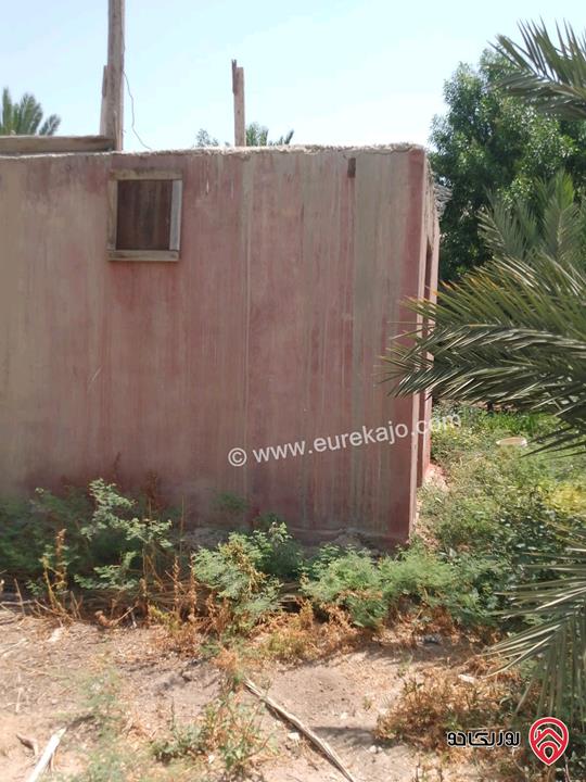 مزرعة نخيل مساحة الأرض 40 دونم وفيها بناء مساحة 210م للبيع في البلقاء - الأغوار الوسطى منطقة الكرامة