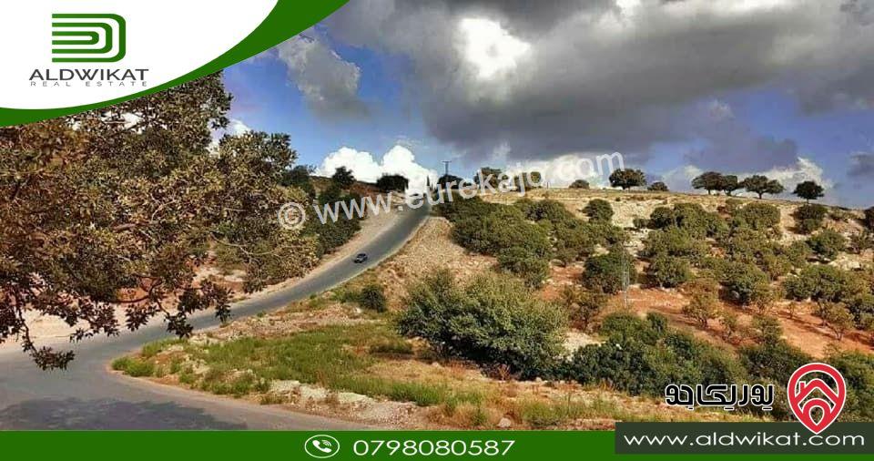 ارض مميزة مساحة 9500م للبيع في البلقاء - تل الرمان