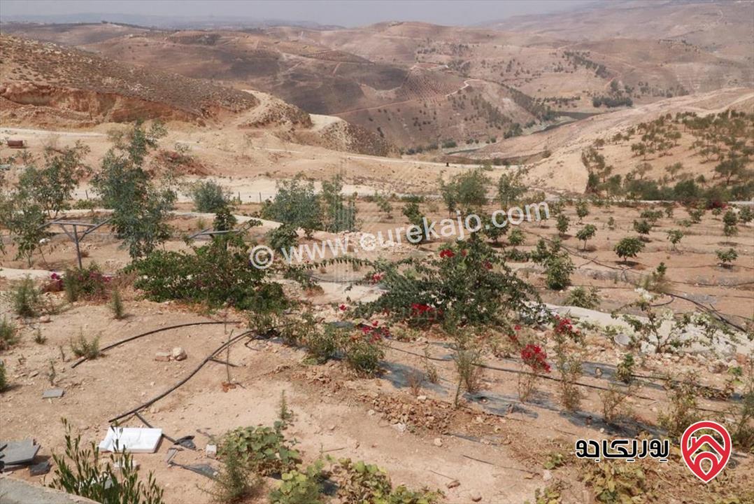  مزرعة مميزة مساحة الأرض 5 دونم و 980م والبناء 200م للبيع في تل الرمان، شمال عمان