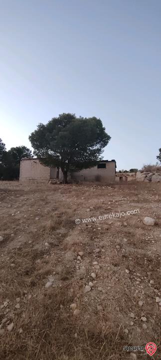 ارض مشترك محدد مساحة 3 دونم و 400م للبيع بسعر مغري في الزرقاء - صروت