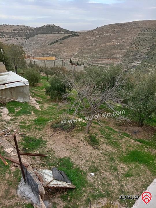قطعة أرض مساحة 10 دونم و 704م للبيع في الزرقاء - بيرين