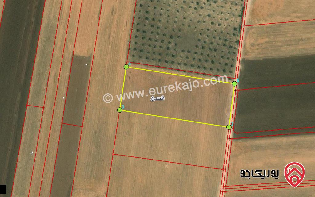 قطعة ارض مساحة 6 دونم للبيع في اربد - جنوب شارع الصوامع 