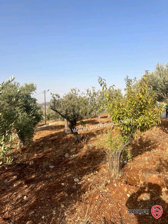 قطعة أرض ريفية مساحة 7 دونم للبيع في في جرش سوف حوض بيدر الحمص 