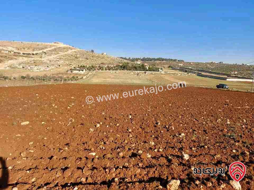 قطعة أرض مساحة 500م للبيع في عمان - شفا بدران زينات الربوع 