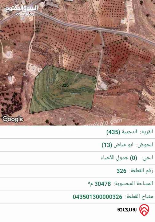ارض مساحة 30 دونم و 478م للبيع في المفرق - الدجنية