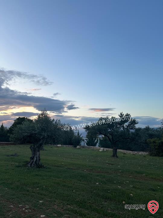 قطعة ارض مساحة 1 دونم و 720م للبيع في السلط زي منطقة مزارع وفلل مزروعة زيتون 