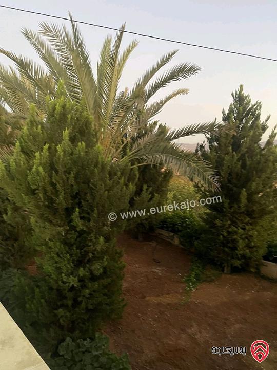 مزرعة مساحة 4 دونم و 358م مع بناء طابقين للبيع في جرش - الكتة