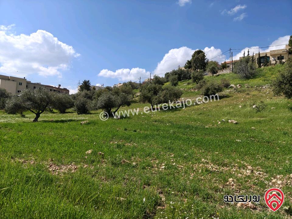 قطعة ارض مميزة مساحة 767م للبيع في عمان - بدر الجديدة من المالك مباشرة