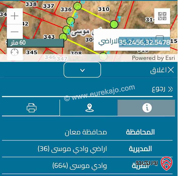 أرض للبيع في معان - وادي موسى مساحة 10 دنم