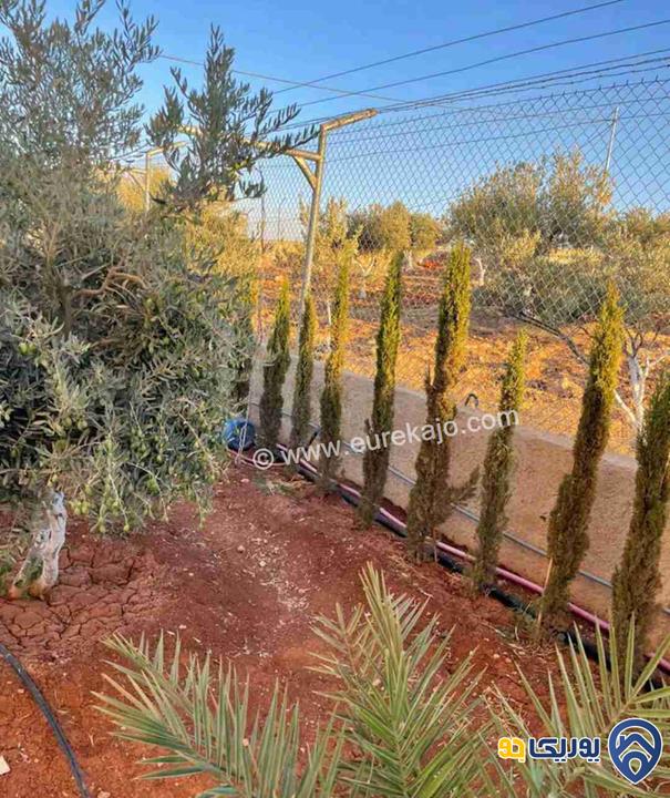 مزرعة في القنية اطلالة عاليه وخلابه مشجرة بالاشجار المثمرة بمساحة 6800م