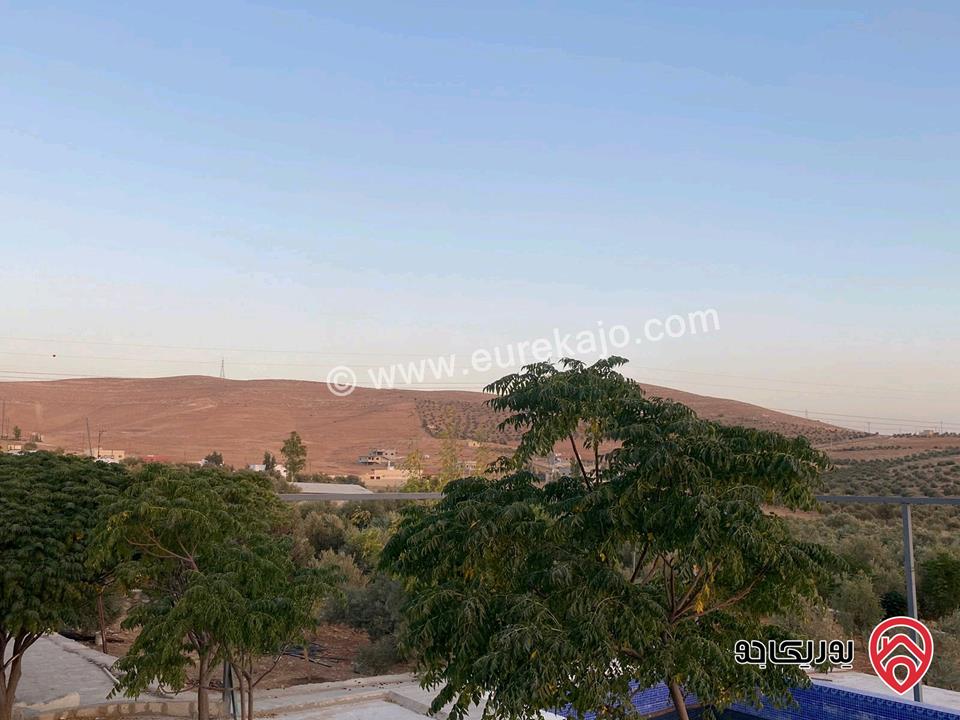 مزرعة مساحة الأرض 4 دونم و 60م للبيع في المفرق - بلعما مع أشجار زيتون مع أشجار زينة