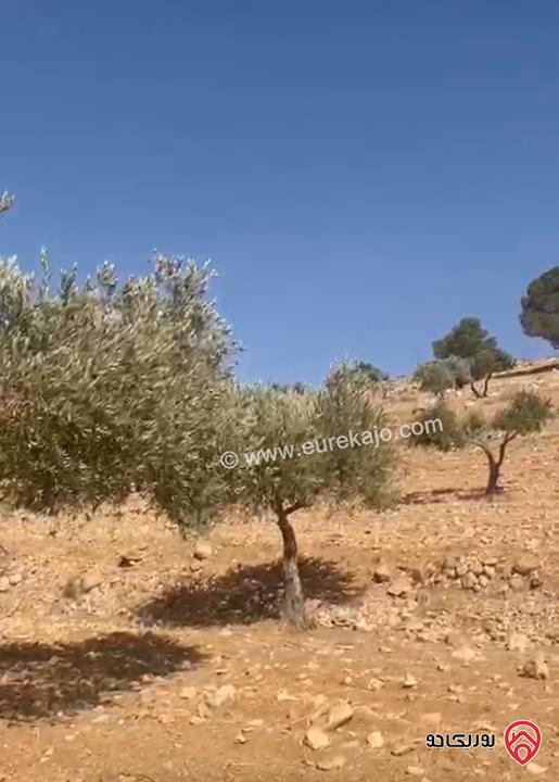 قطعة أرض مساحة 6 دونم و 721م للبيع في جرش - بليلا 