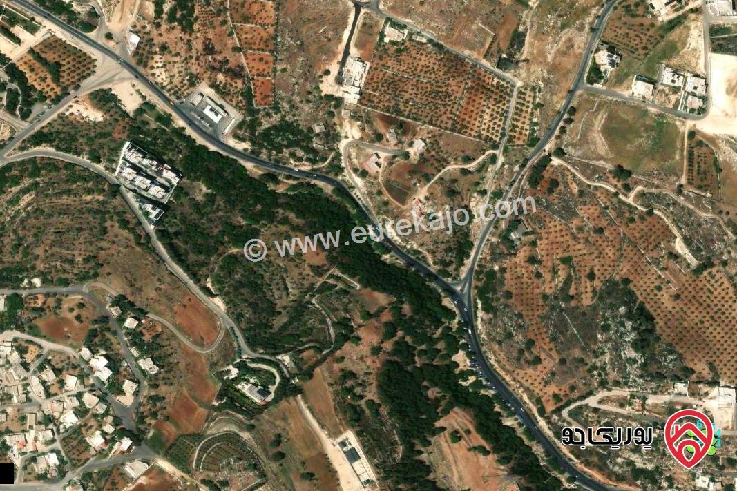 قطعة أرض استثمارية مميزة مساحة 600م للبيع من أراضي غرب عمان - قرية بلال - حوض الرباحية الجنوبية