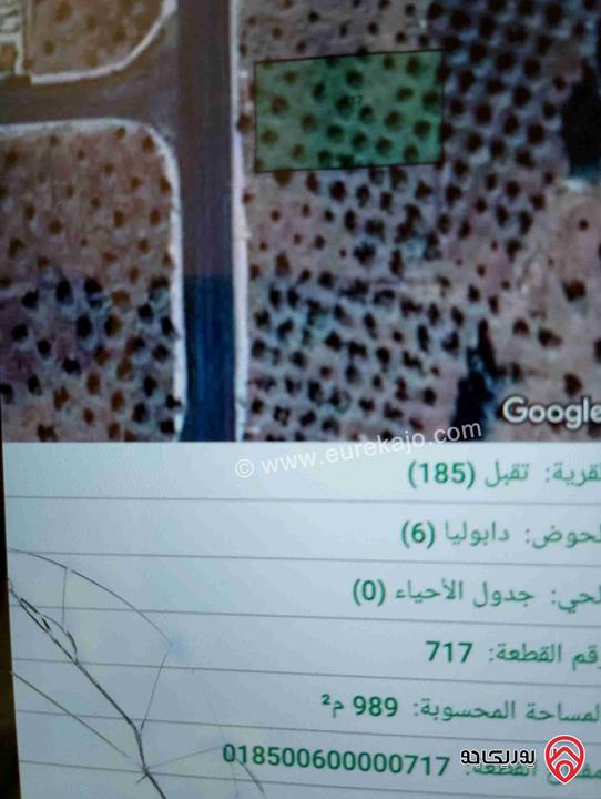 قطعة أرض مساحة 989م للبيع في اربد - تقبل دابوليا في منطقة جميلة وهادئة ومشجرة زيتون وتقع عل شارعين كل شارع 20م عرضه 