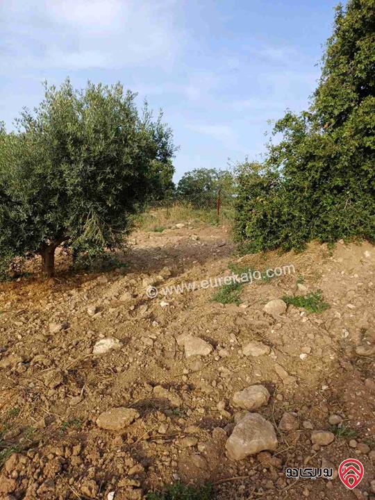 مزرعة مساحة 14 دونم للبيع في اربد - أراضي بني كنانة منطقة سمر