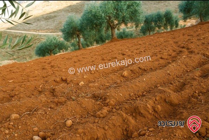  قطعة أرض مساحة 3 دونم و 821م للبيع في الزرقاء - منطقة العالوك