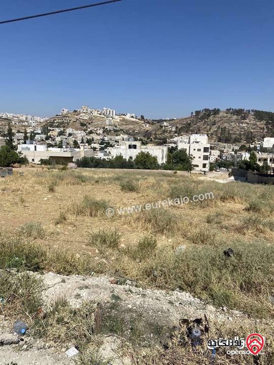 قطعة ارض مميزة مساحة 1 دونم و 273م للبيع في عمان - ناعور