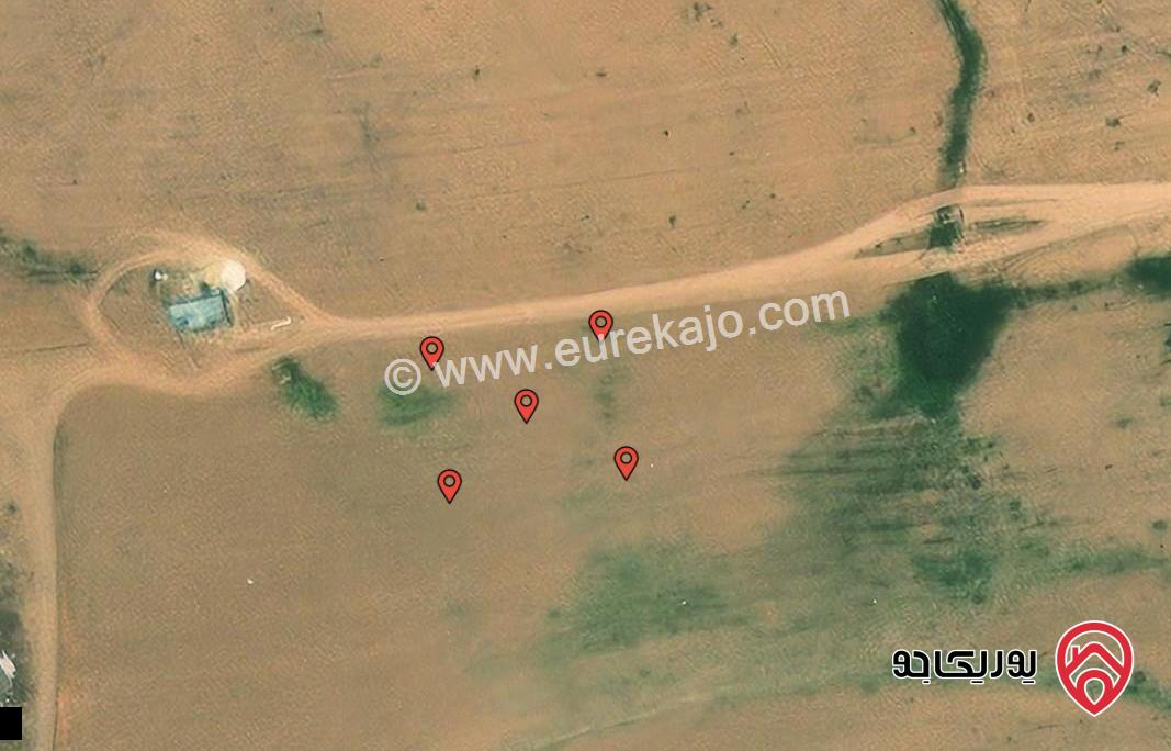 اربع قطع متجاورات مساحتهم معاً 1248م للبيع من اراضي جنوب عمان حوض الموارس