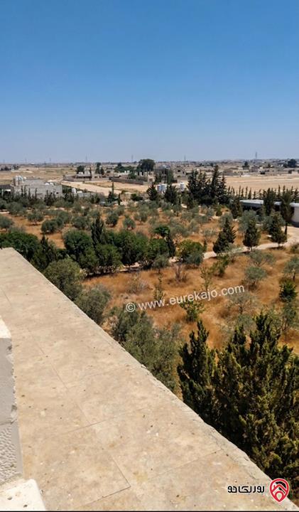 مزرعة مساحة الأرض 10 دونم والبناء 600م للبيع في المفرق - الخالدية