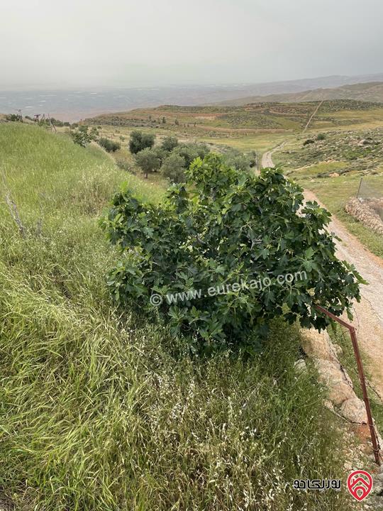 قطعة أرض مميزة مساحة 5 دونم للبيع في عمان - ناعور المشقر