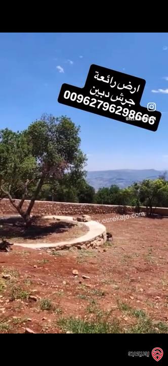 قطعة ارض مميزة مسساحة 2 دونم للبيع اراضي جرش دبين 