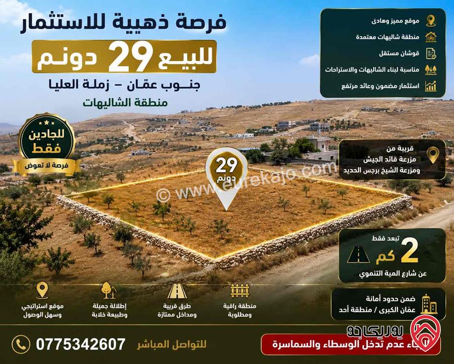 أرض 29 دونم قوشان مستقل في زملة العليا جنوب عمّان، منطقة شاليهات مميزة تبعد 2 كم فقط عن شارع المية التنموي، موقع استثماري واعد بالقرب من مزرعة قائد الجيش ومزرعة الشيخ برجس الحديد