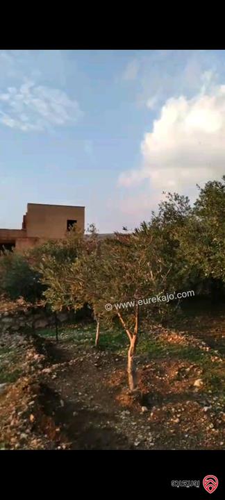 أرض مساحة 546م  للبيع في عمان - ناعور