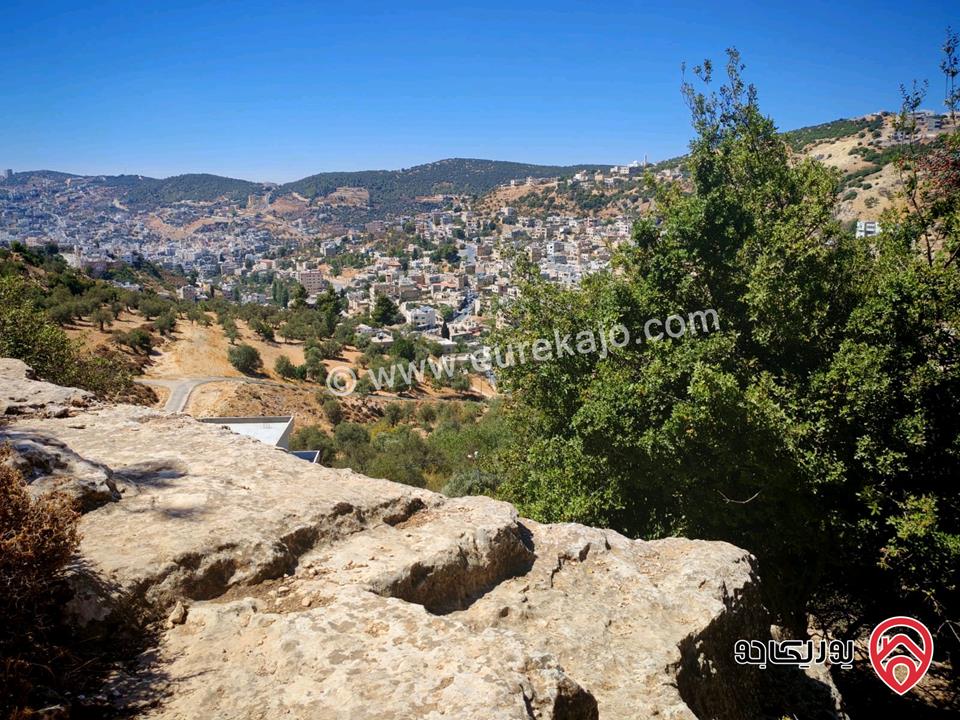 قطعة أرض مساحة 2 دونم و 272م للبيع من أراضي عجلون عين جنا