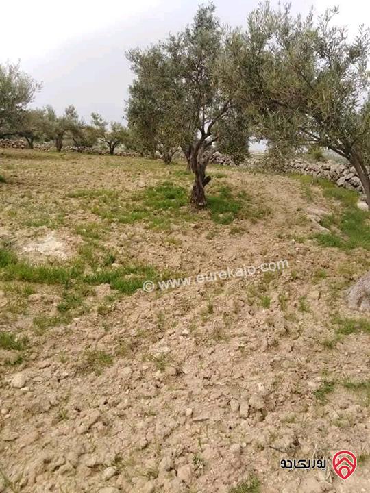 قطعة ارض مميزة مساحة 4 دونم و 390م للبيع في جرش /المقبلة 