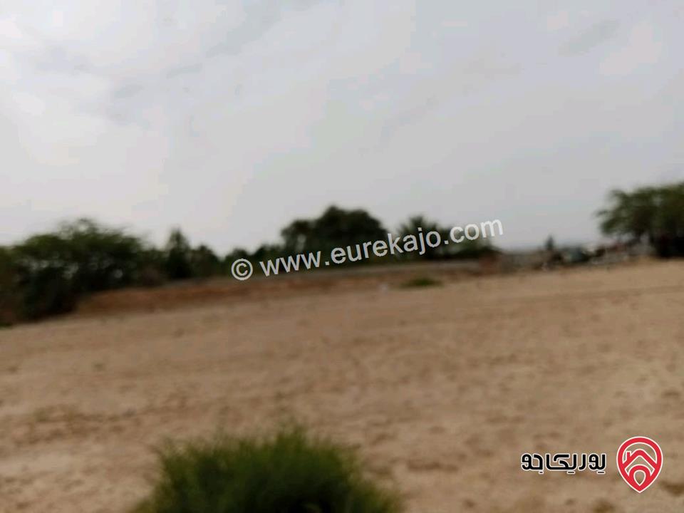 قطع أراضي بمساحات تبدأ من 2 دونم للبيع في البحر الميت قرب منتجع البحيرة