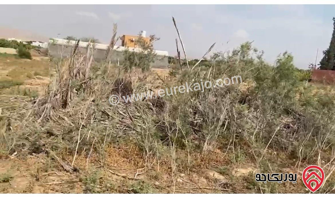 قطعة ارض مساحة 1307م للبيع من أراضي الشونة الجنوبية في الاغوار من المالك 