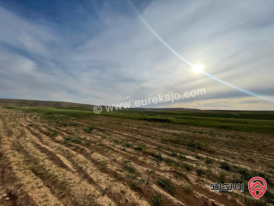 أرض مساحة 21 دونم و 400م للبيع من أراضي شرق عمان - الماضونة قرب جمرك عمان الجديد 