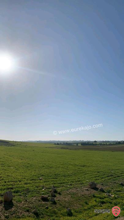 أراضٍ مشتركة بمساحات متنوعة من 5 دونمات لغاية 50 دونم للبيع من أراضي جنوب عمان - ام رمانه منطقة حيوية وسريعة التطوير